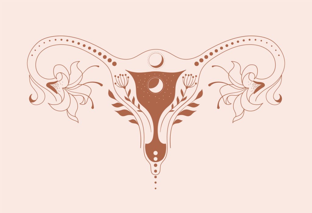 Artistic illustration of the female reproductive system with floral and moon motifs, symbolising natural pelvic floor health and feminine strength